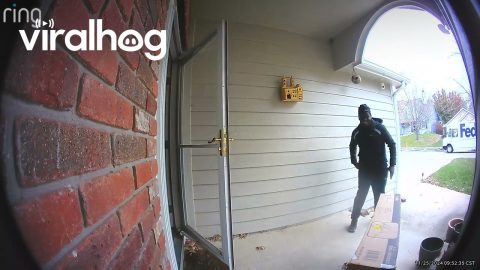 Delivery Driver Caught Getting Down || ViralHog