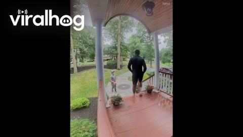 Brothers Keeping Slipping On Slick Steps || ViralHog
