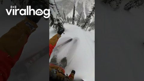 Heli-Skier Rides Down a Crazy Pillow Line in British Columbia Backcountry || ViralHog