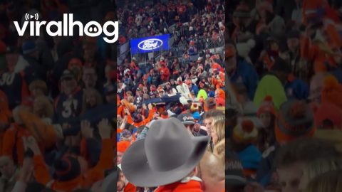Denver Broncos Mascot Goes Crowd Surfing || ViralHog