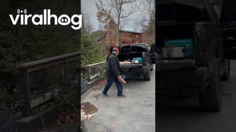 Bear Snags Drink from Pickup Truck || ViralHog