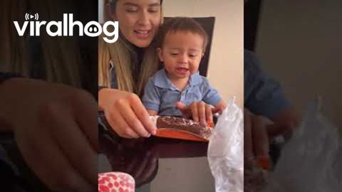 When You're Just Too Upset for Cake || ViralHog