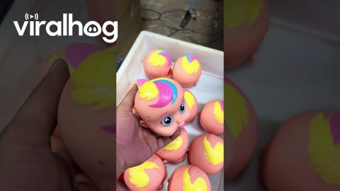 Doll Heads Get Painted at the Factory || ViralHog