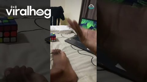 Coin-flipping Ankle Trip || ViralHog