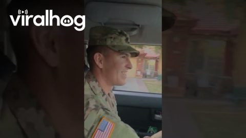Neighbors Welcome Home Soldier With Street Of Flags || ViralHog