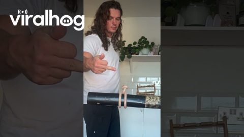 Man Ties A Knot With Style || ViralHog