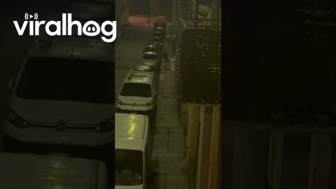 Shady Woman Tries To Open Cars At Night || ViralHog