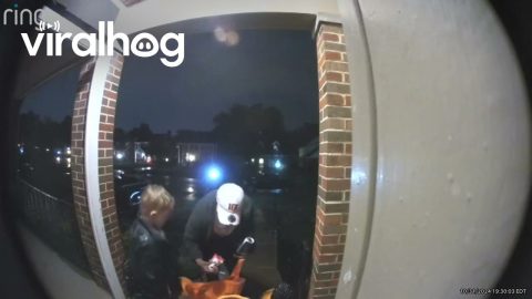We Are Kind! || ViralHog