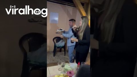 Man Thwarts Attempted Cake Face Smash || ViralHog
