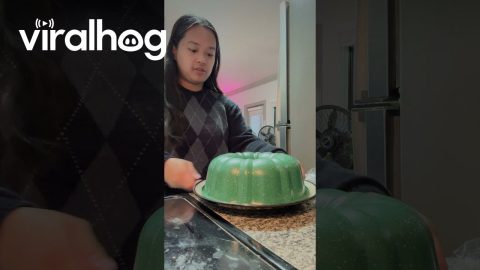 Flan Fail || ViralHog