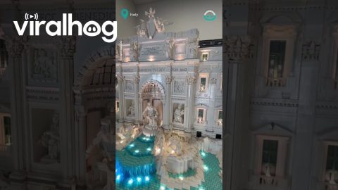 HUGE Trevi Fountain made of LEGO || ViralHog