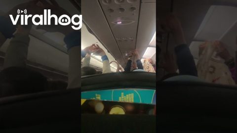Flight Attendant's Sneaky Way to Get People To Pick Up Their Trash || ViralHog