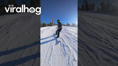 Sprinting Bear Crashes Into Snowboarder || ViralHog