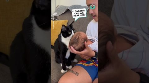 Super Gentle Cat Meets Newborn || ViralHog