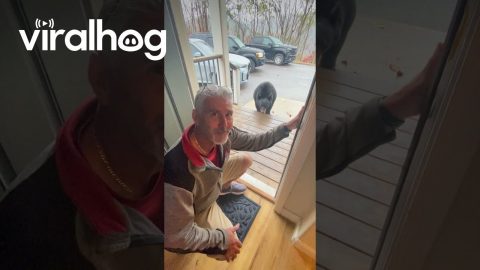 Man Instantly Regrets Taking Selfie With Bear || ViralHog