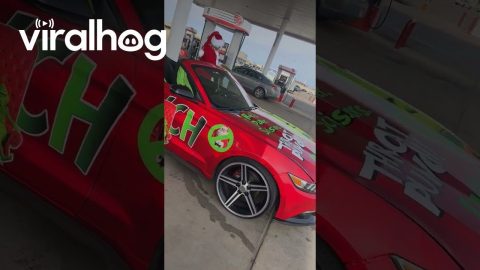 The Grinchmobile || ViralHog