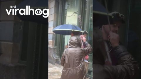 I Think She Forgot Something || ViralHog
