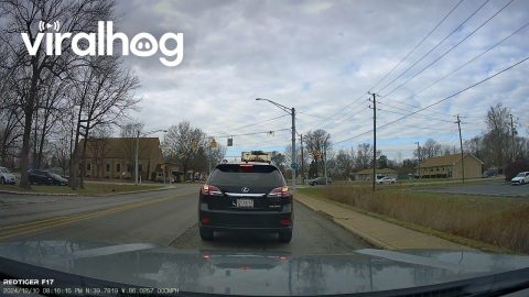 Distracted Car Keeps Turning Left || ViralHog