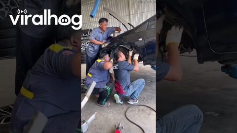 Technician Team Rescue Kitten From Engine Bay || ViralHog