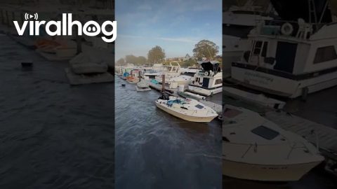 Santa Cruz Harbor Breaks Apart || ViralHog
