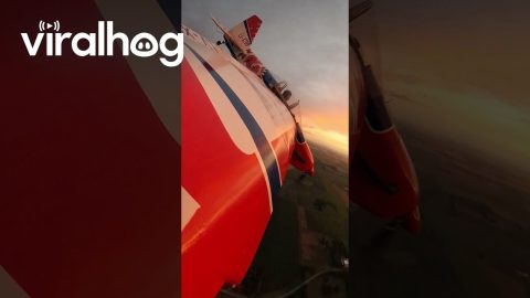 Aerobatic Plane Covered In Christmas Lights || ViralHog