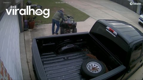 Backwards Throttle Sends ATV On Lively Jaunt || ViralHog