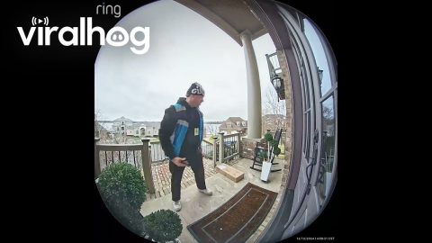 Delivery Driver Puts Porch Decor Back In Place || ViralHog