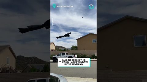 Drone Powered Wicked Witch || ViralHog
