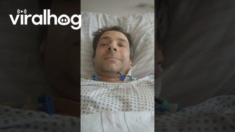 Construction In An Occupied Hospital Room || ViralHog