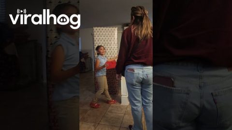 Magic Elf Brings Brother Home For Holidays || ViralHog