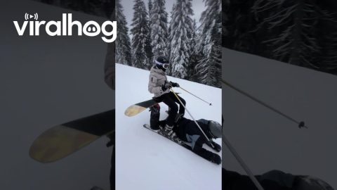 Couple Sit And Ski Down Slope || ViralHog