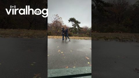 A Beautiful Proposal Turned Trashy || ViralHog