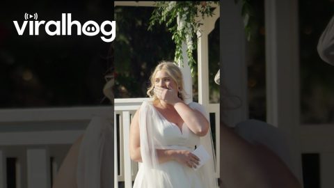 AI Writes Man's Wedding Vows || ViralHog