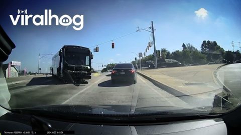 Runaway Bus Crashes Over Median Into Car || ViralHog
