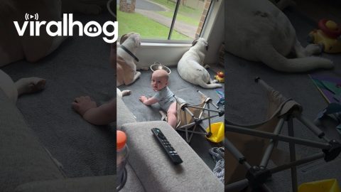 Son Slides Smoothly Over Camp Chair || ViralHog