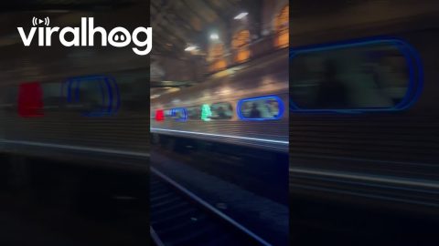 Train Horn Honks A Christmas Song || ViralHog