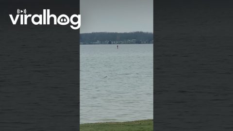 Santa Relaxes On Paddleboard || ViralHog