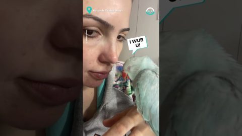 Adorable Parrot Loves Her Owner || ViralHog
