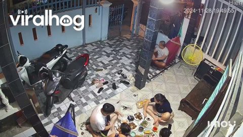 Dog Runs Directly Through Dinner || ViralHog