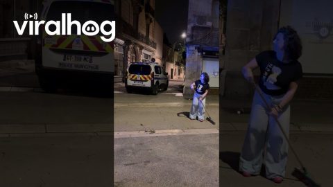 Street Sweeper Likes Drama || ViralHog