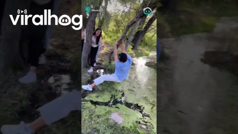 Super Stylish Man Attempts to LEAP across Mud || ViralHog