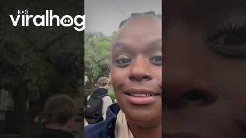 Woman Feeds Pigeons From Her Mouth || ViralHog