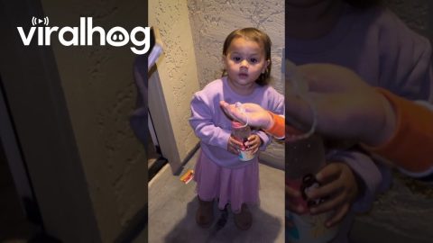 Sister Awed By Cool Lizard || ViralHog
