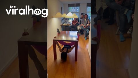 Table Climbing || ViralHog