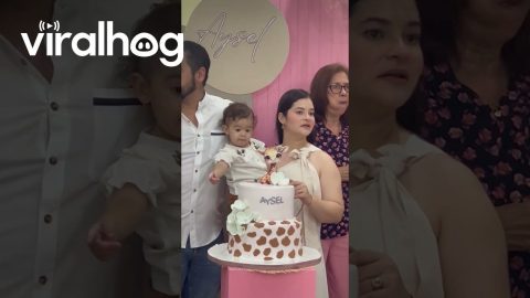 Birthday Cake Doesn't Pass Baby's Taste Test || ViralHog