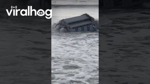 Santa Cruz Wharf Clubhouse Overtaken By Waves || ViralHog