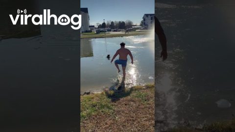 Stranger Saves Dog From Frozen Pond || ViralHog