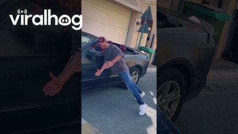 Real-Life Mannequin Interacts With A Car || ViralHog