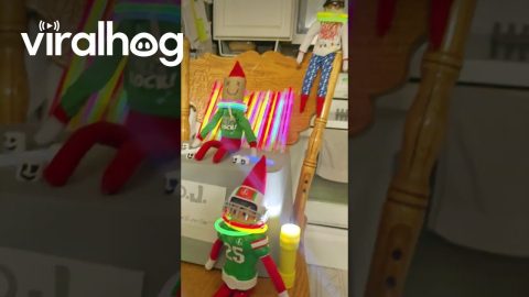 Shelf Elves Party With Glowsticks || ViralHog