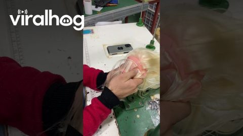 Blonde Hair Sewn Into Doll Head || ViralHog